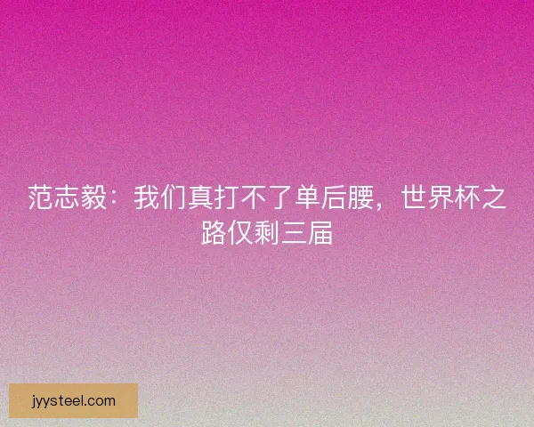 范志毅：我们真打不了单后腰，世界杯之路仅剩三届
